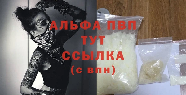 индика Осинники