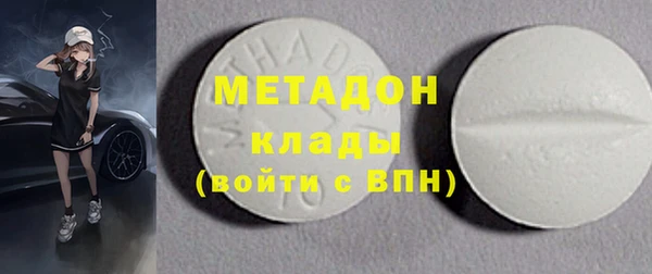 индика Осинники