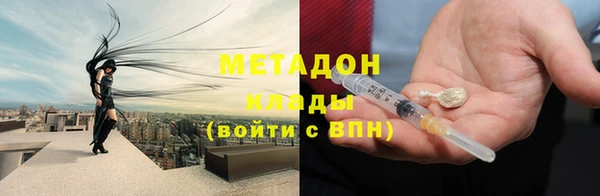 индика Осинники