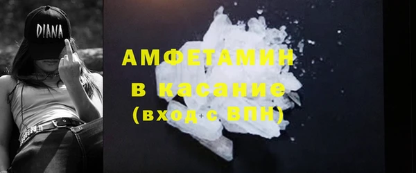 индика Осинники
