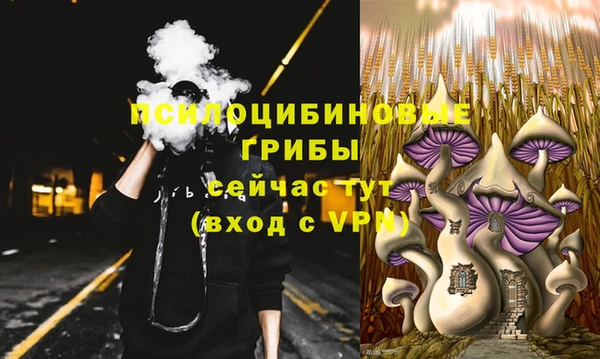 герыч Нязепетровск