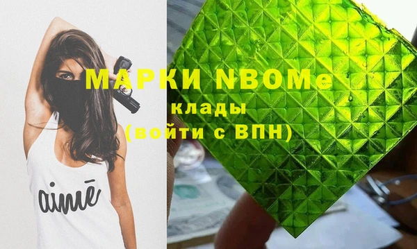 индика Осинники