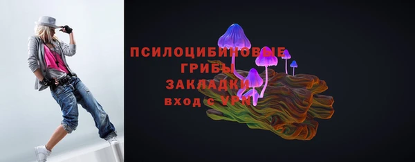 винт Осташков