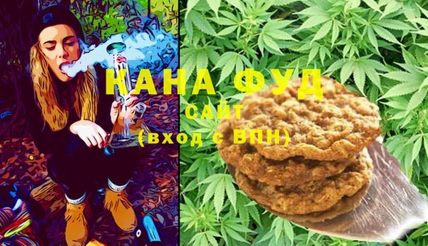 индика Осинники