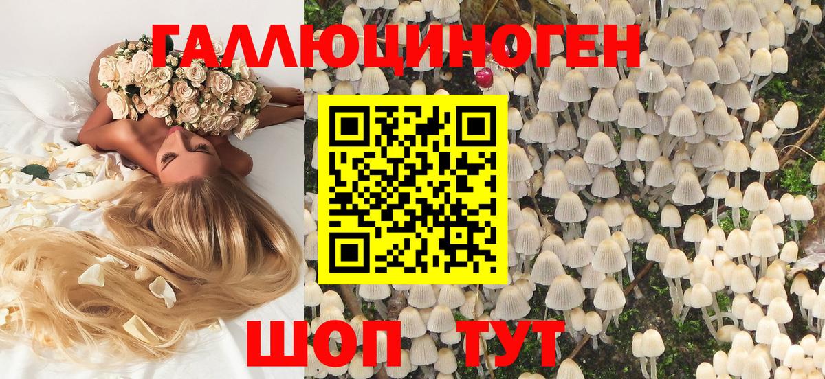 Псилоцибиновые грибы мицелий  Вход с VPN  Ейск 