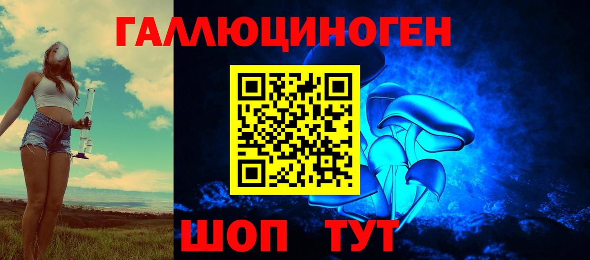 Галлюциногенные грибы GOLDEN TEACHER  Ейск 