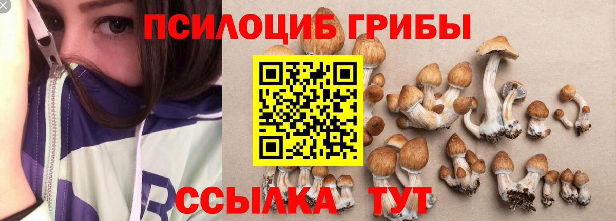 Галлюциногенные грибы прущие грибы Ейск