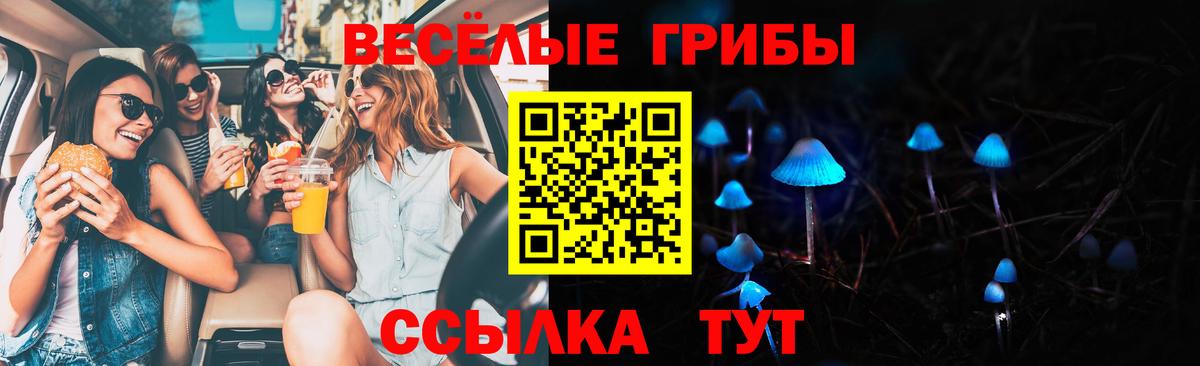 Псилоцибиновые грибы MAGIC MUSHROOMS Ейск