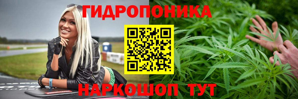 Шишки марихуана конопля  Вход с VPN  Бошки марихуана планчик  Ейск 